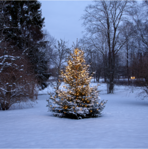 Julgransslinga Shiny WarmWhite - 360 LED - 2 Meter
